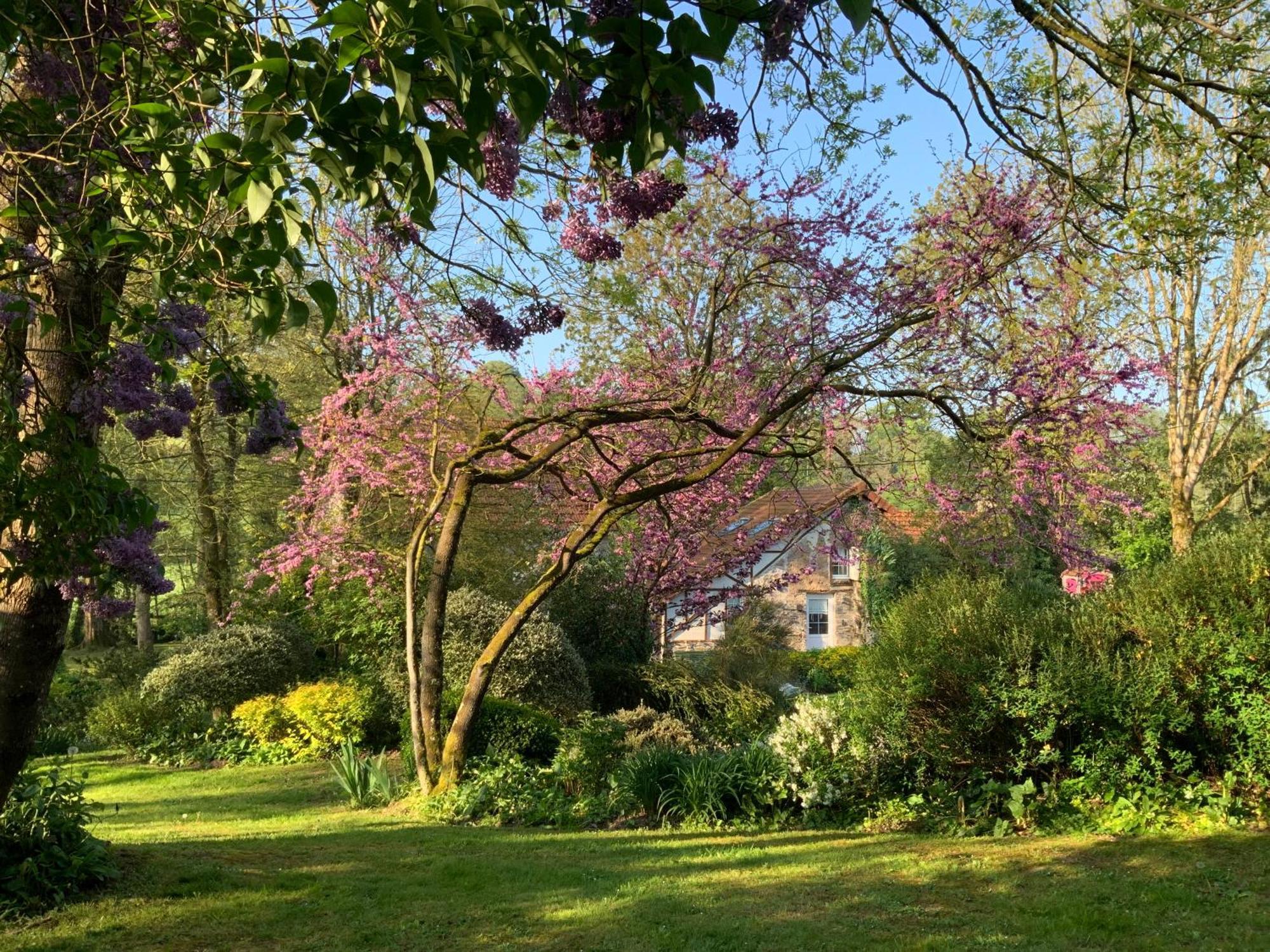 Bed and Breakfast Le Moulin De La Castellerie Moon-sur-Elle Exterior foto
